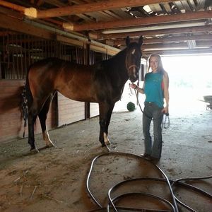 Meet your Posher, Sydney